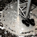 photos-gala-pavillon-royal-357