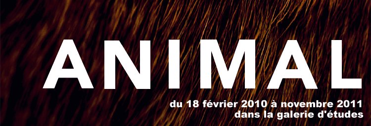 Exposition Animal au Musée Des Arts Décoratifs jusqu’au 30 novembre !