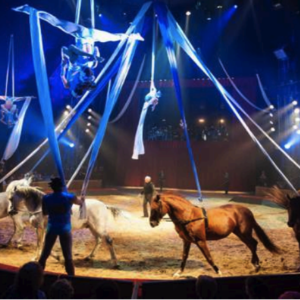 Cirque Alexis Gruss