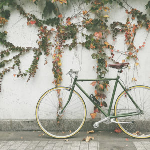bike tours