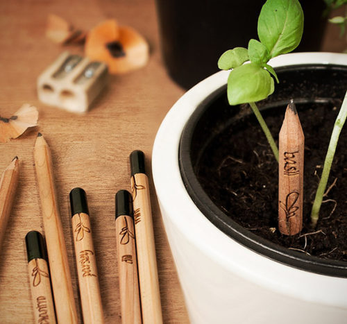 Le développement durable à porter de vos évènements