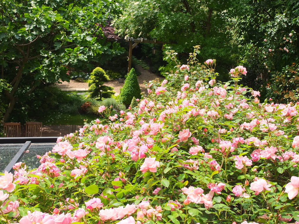 jardin parisien