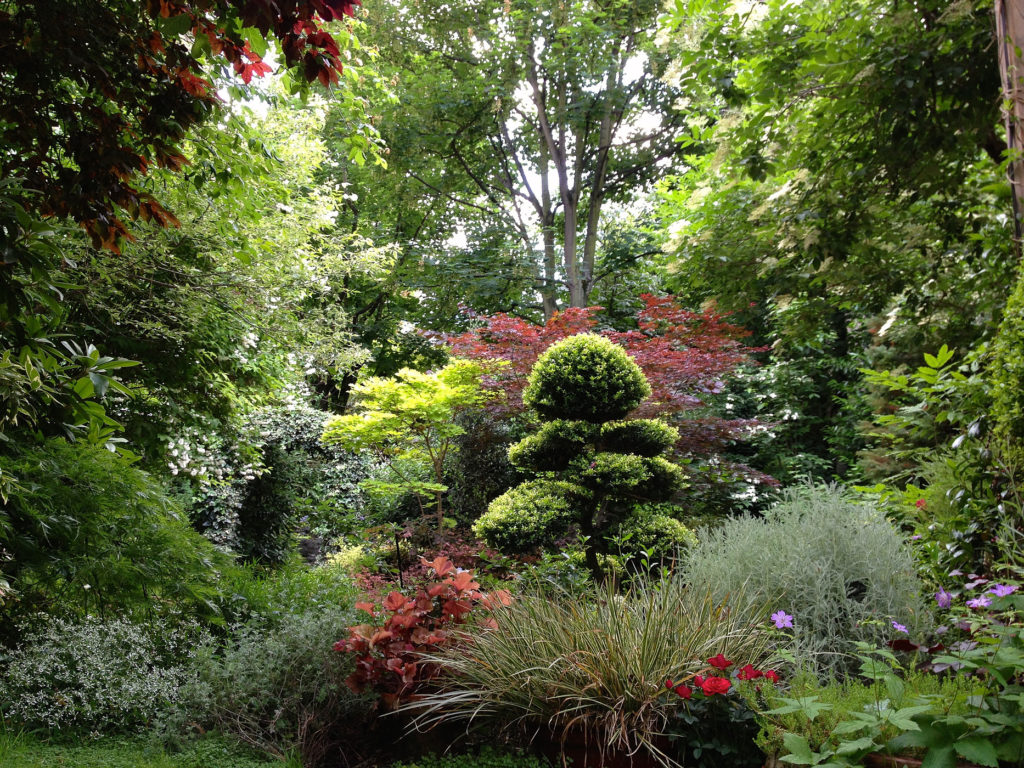 jardin parisien