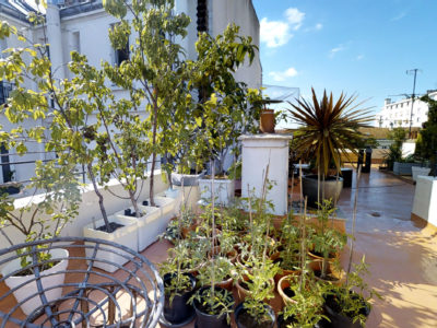 Le-rooftop-d-irma-2 Le-rooftop-d-irma-2