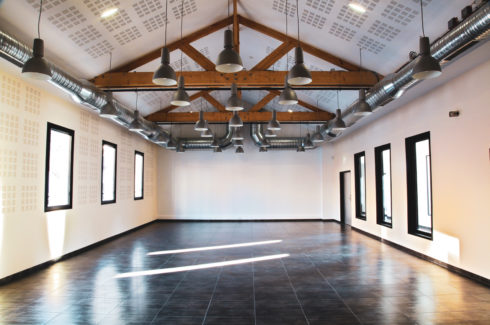 Loft à Charpente