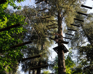 adventure camp