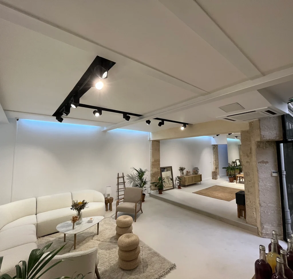 Privatisation Showroom Carreau du Temple