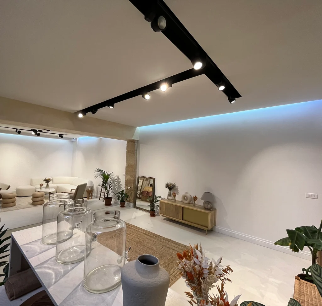 Privatisation Showroom Carreau du Temple