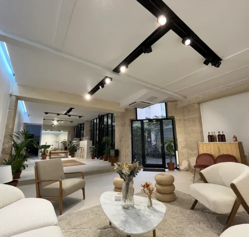 Privatisation Showroom Carreau du Temple